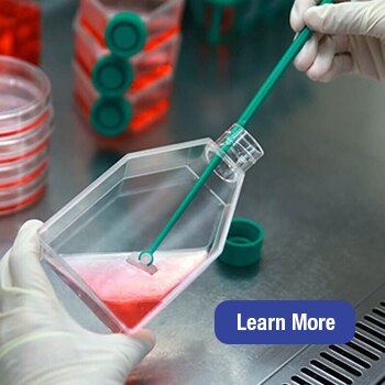 Cell Culture